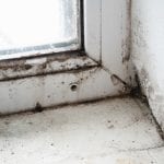 closeup corner of window frame with mold fungus and crumbling wall full of moisture as result of bad ventilation